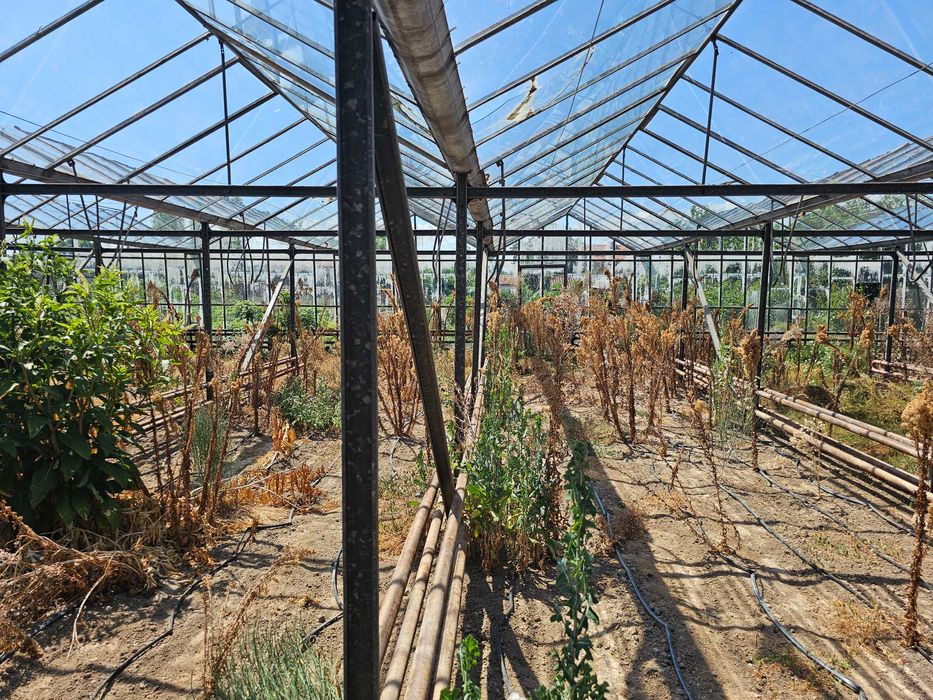 Продава се стъклена оранжерия