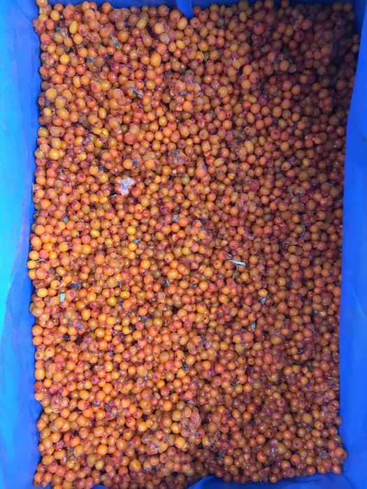 замороженная клюква