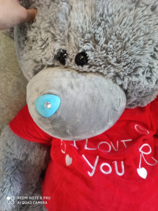 Teddy ойинчок янги биркаси билан