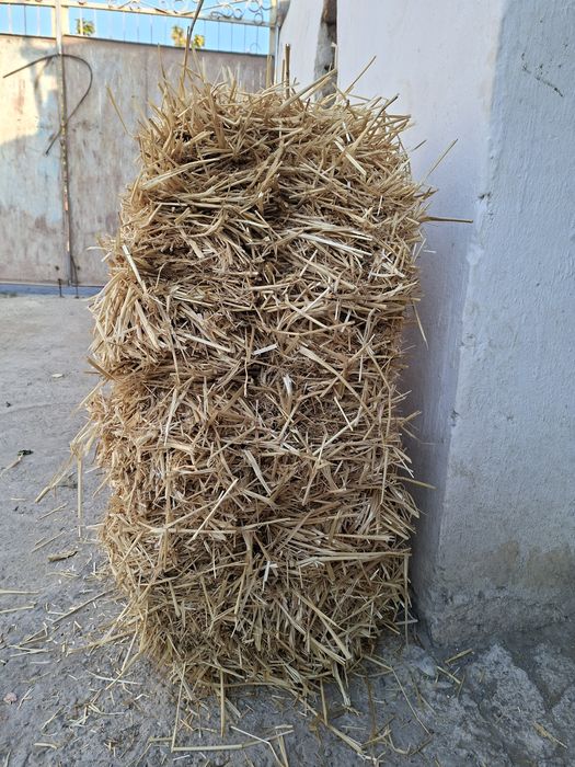 Бидай саман малга