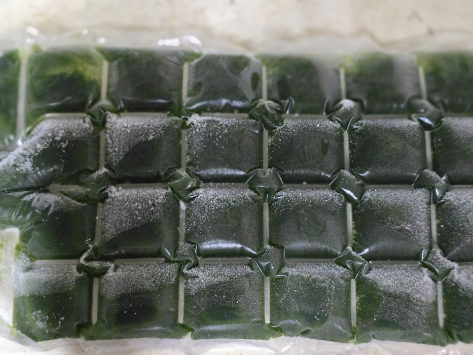 Витграсс сок из ростков пшеницы