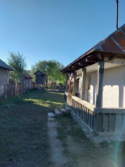 Casa bătrânescă cu teren generos în localitate