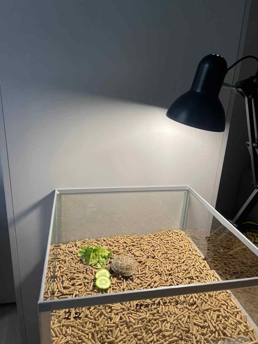 Аквариум террариум для сухопутных черепах