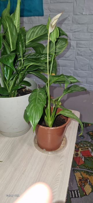 Срочно срочно продам Дёшево СРОЧНО СРОЧ