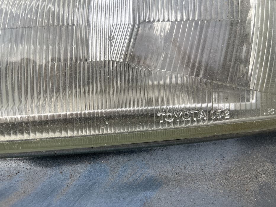 Карина Е привозной ноускат