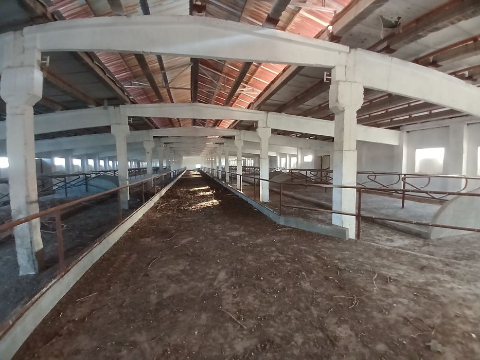 Здание и сооружение, Большая современная ферма