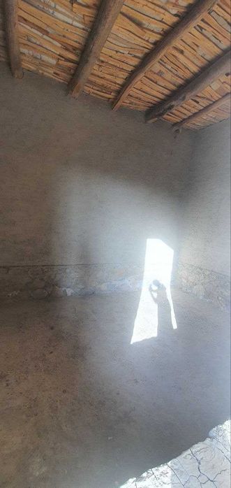 Toshkentda kafeda mehmon kilamiz sotib olgan insonni oilasi bilan.