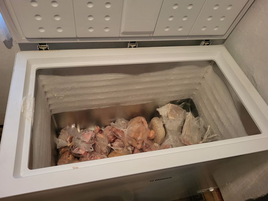 Морозильнильная камера