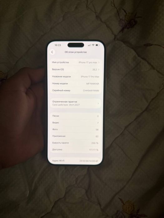 17 max 256 gb silver