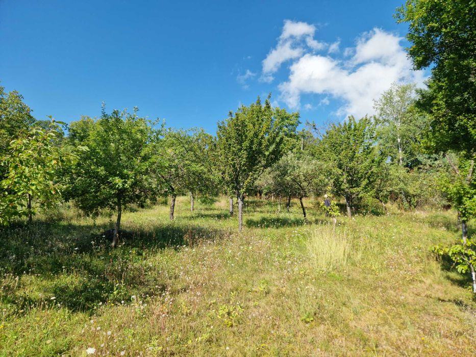 Продава се Парцел в с. Горна Козница, Област Кюстендил - 1485 кв.м за 5 €/кв.м - Снимка #12