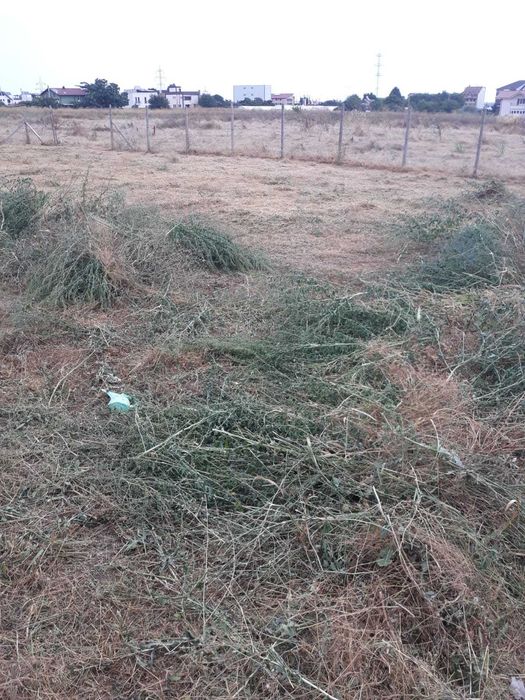 Teren intravilan de vanzare - Agigea - Zona RO-RO, Steaua de Mare