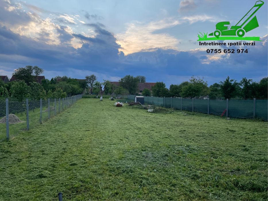 Defrisare vegetatie/iarba terenuri si livezi cu tocator profesional