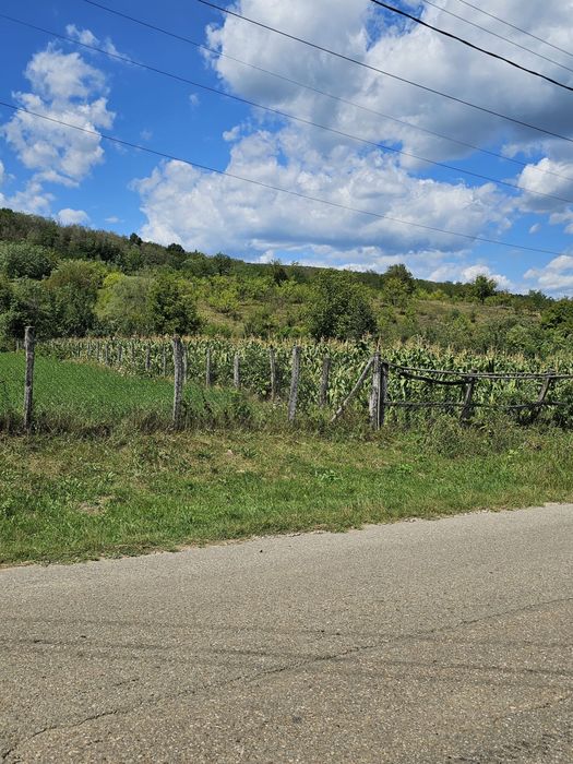 Teren 1100 m patrati