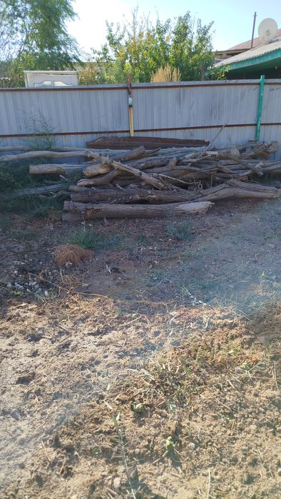 Отин сатылады 500000сум