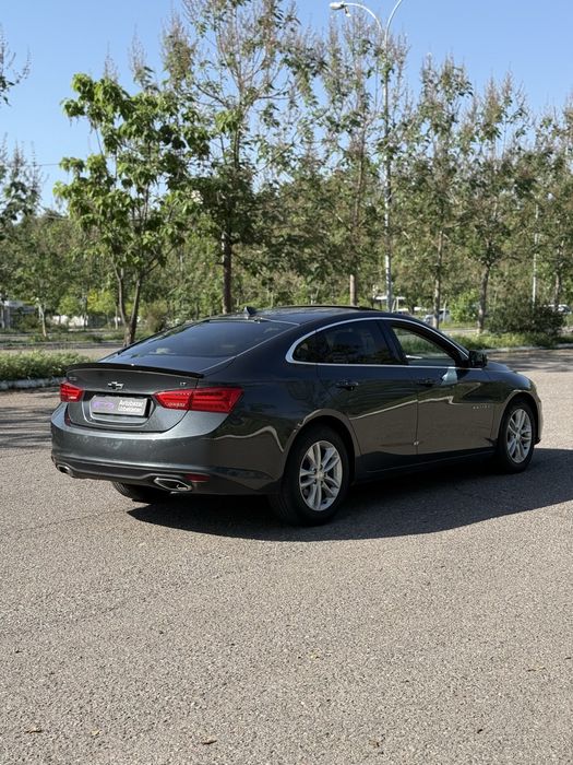 Other Malibu 2018 — 4