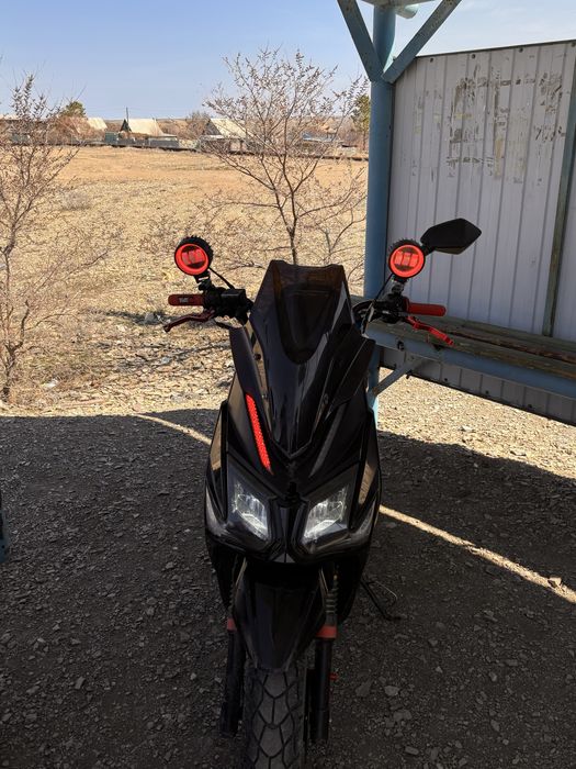 Самурай беннали 180куб