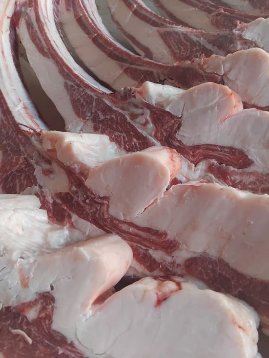 Продам мясо конина по частям