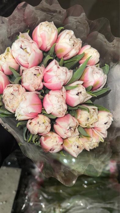 Тюльпаны оптом и в розницу