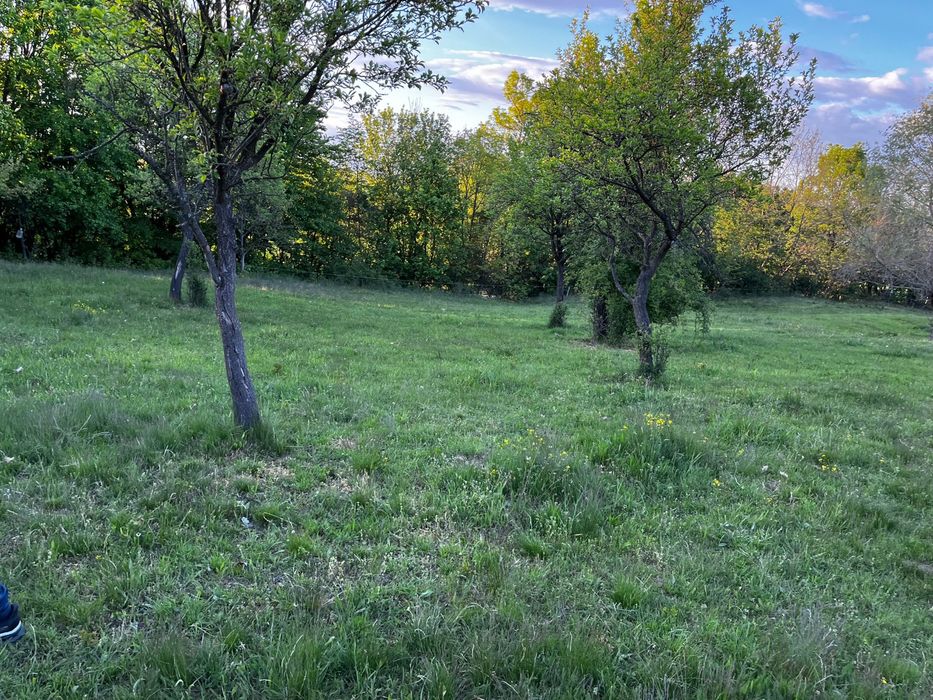 Vand teren extravilan Pianu de Sus