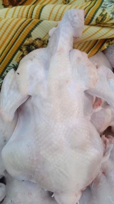 Броллер цеплят 1500тг