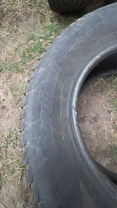 Автомобильные шины