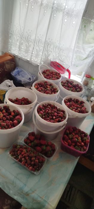 Продам дачу Жезказган