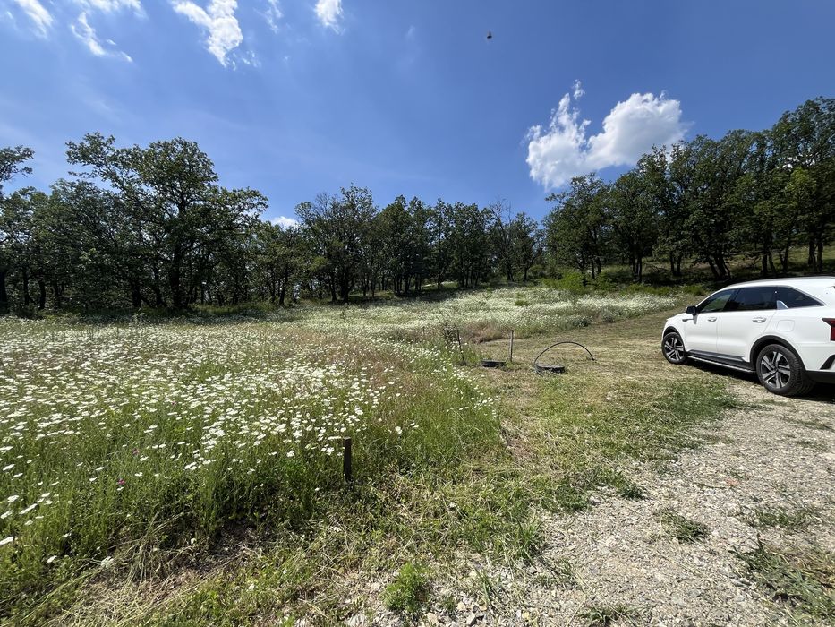 Podari sat vacanta SUPERB si SCUMP