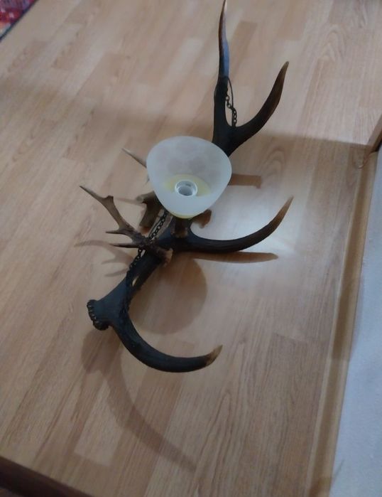 Lustra corn cerb si căprior, Zmeu Wepa  Flyer