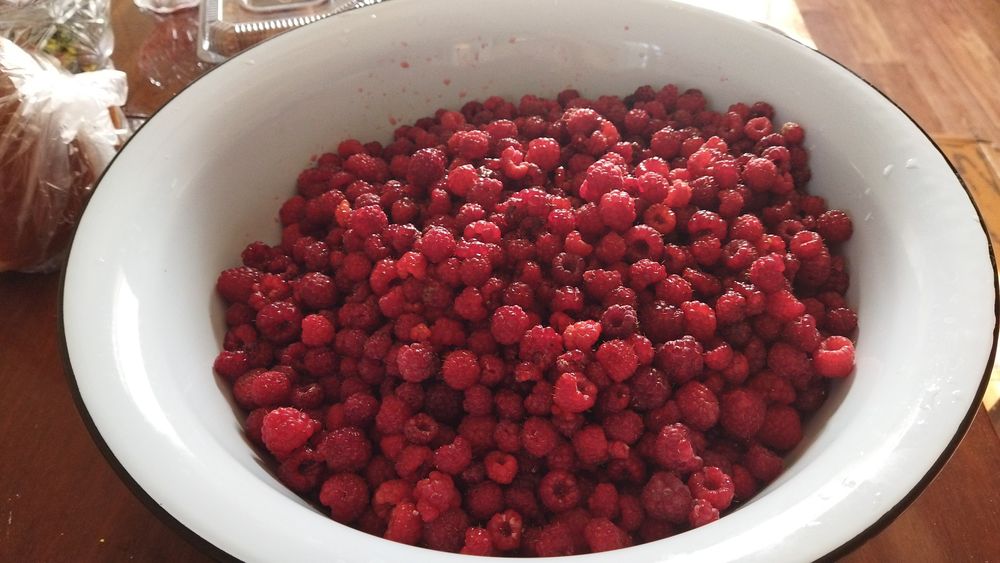 Продаю домашнюю малину