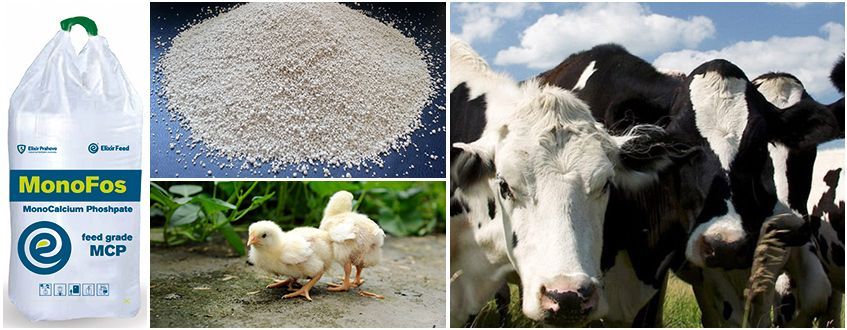 fosfat monocalcic furajer