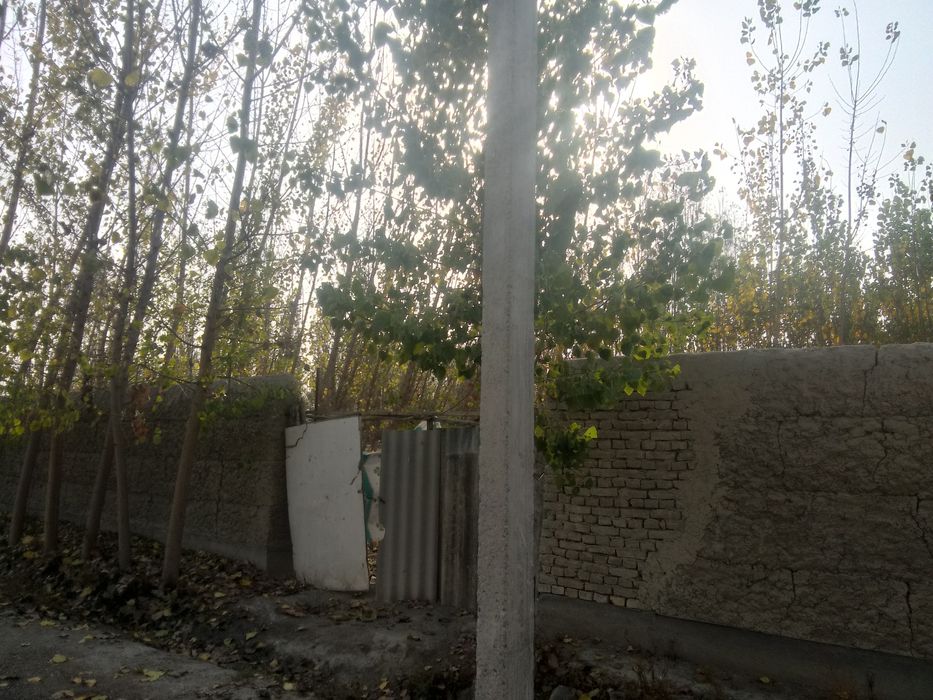 Чек ер участка сотилади