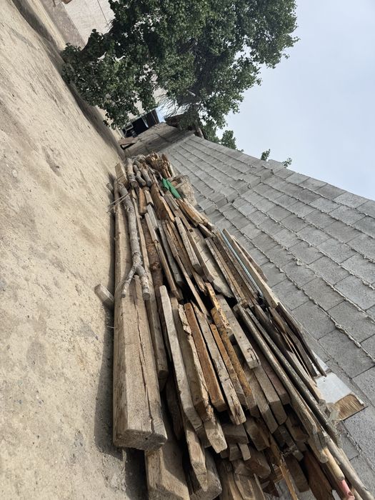 Бел агаштар сатылады