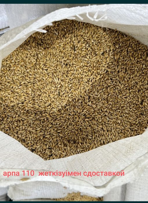 Арпа 110 доставка бар