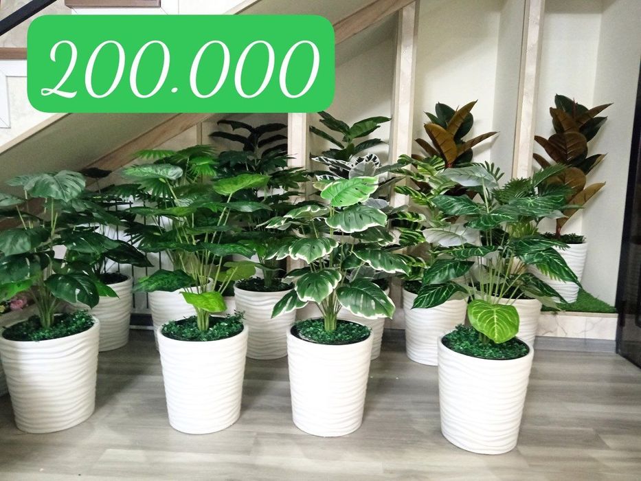 Суний гуллар ва дарахтлар Искусственные деревья и растения