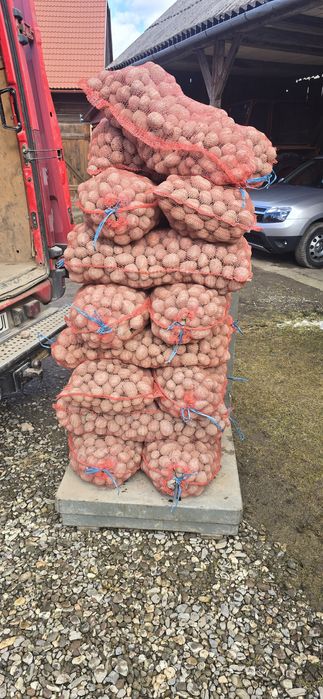 Sămânță înmulțirea 1