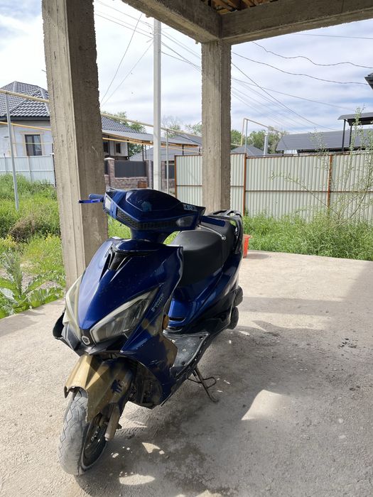 Продам мопед м10 цена 40к торг есть