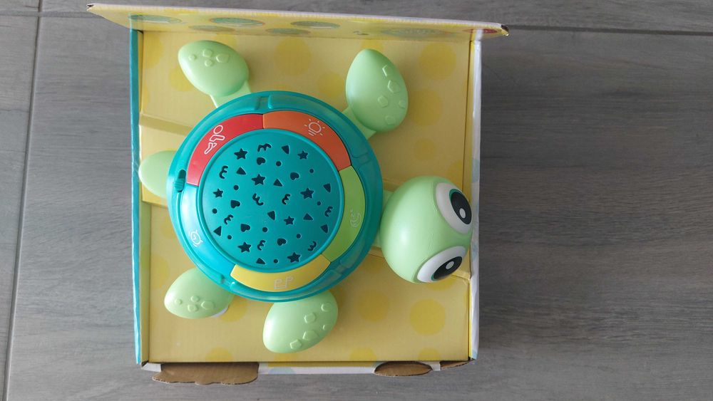 Пееща и светеща костенурка Early steps