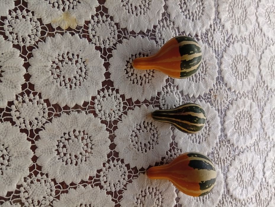 Декоративни кратунки