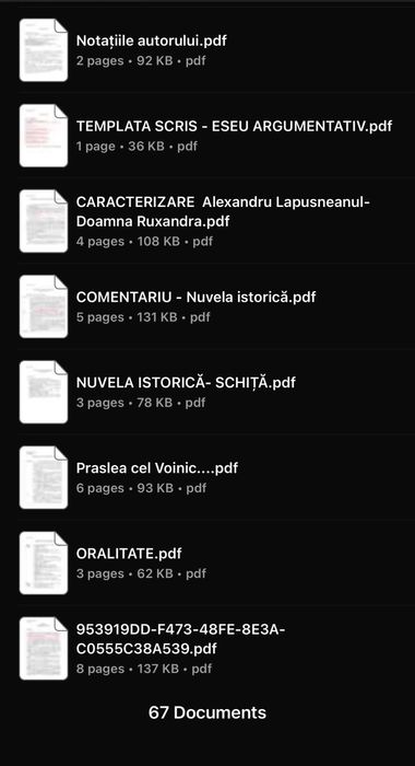 Pachet Bac Romana S1/S2/S3 - Toata materia structurata + sabloane - 100 lei