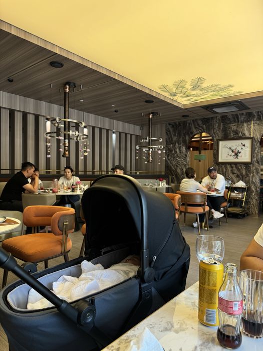 Anex air x2 и люлка