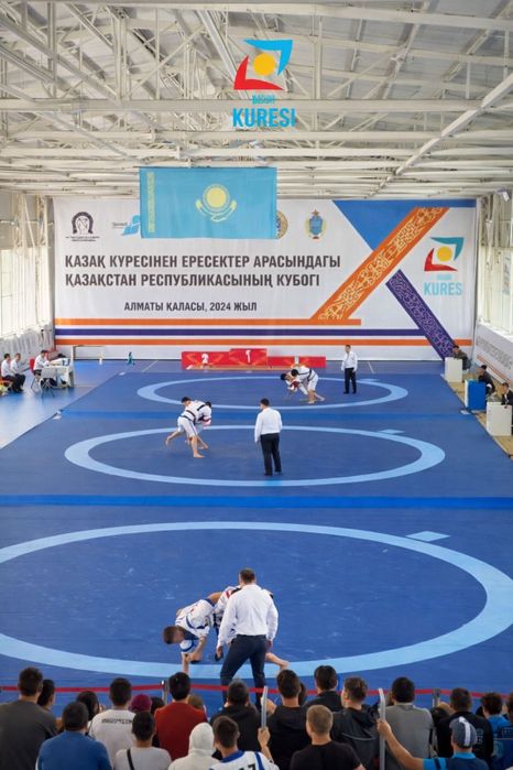 Борцовский ковер