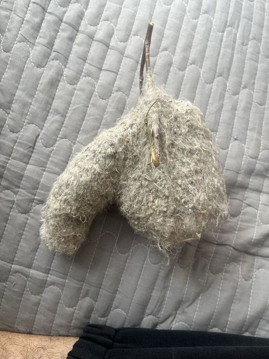 құрқылтайдың ұясы