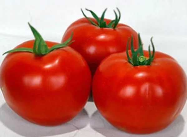 Семена томатов Tomato Wolverine