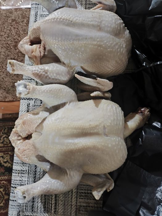 Продам свежие тушки домашних бройлеров