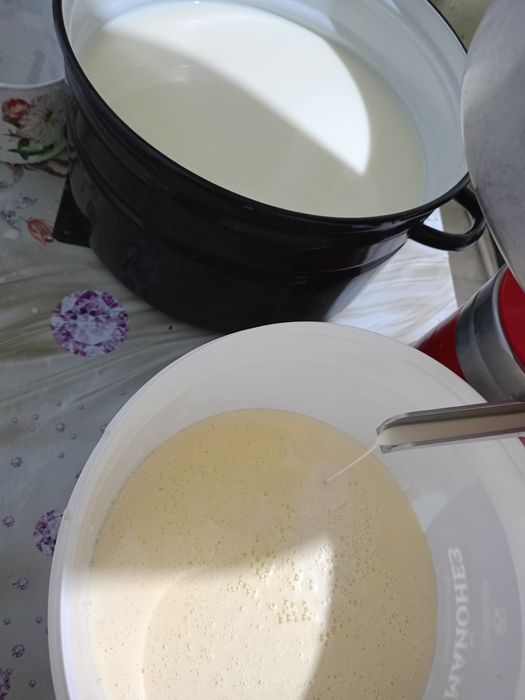Домашнее молоко оптом