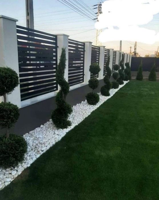 Plante Ornamentale