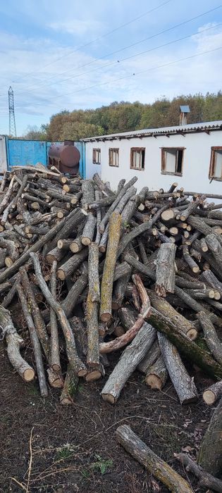 Продам дрова не рубленные
