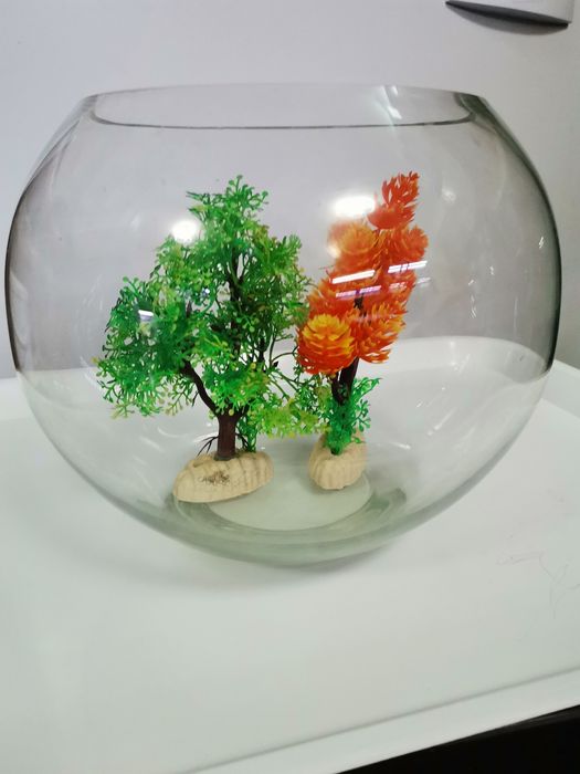 Acvariu bol pentru pești / creveți