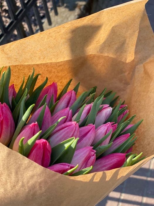 Тюльпаны Рудный Предзаказ 8 марта 700 ₸