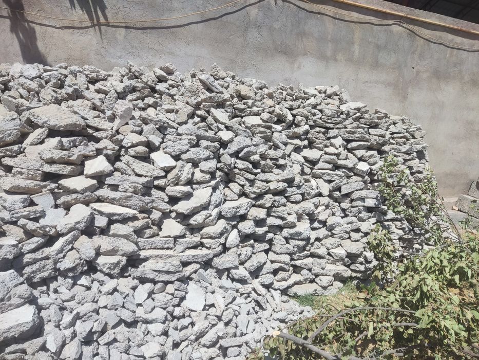 Блужиник бесплатно